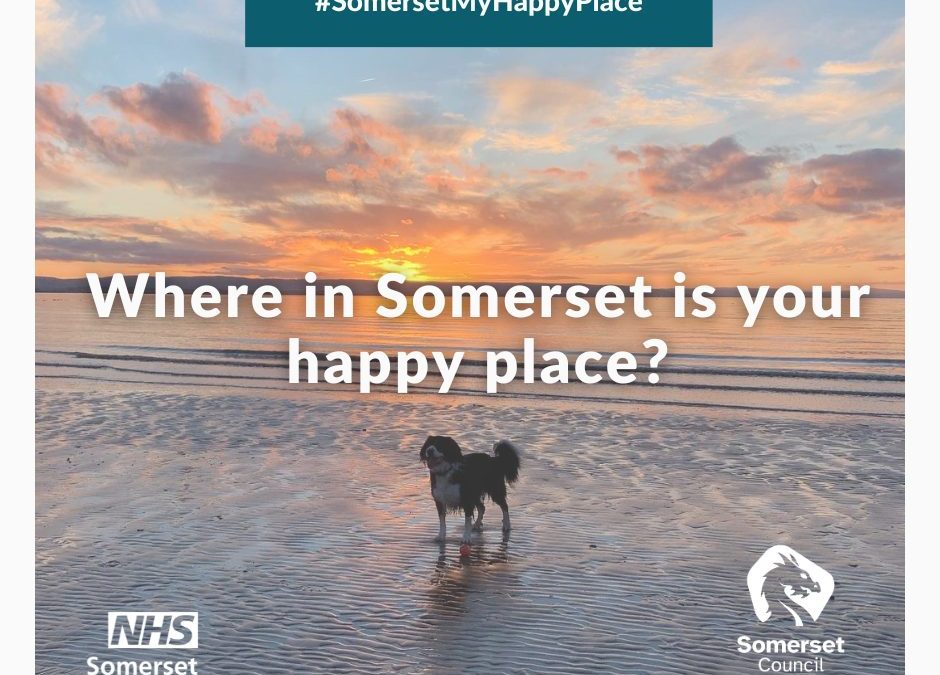 MHAW Events in Somerset