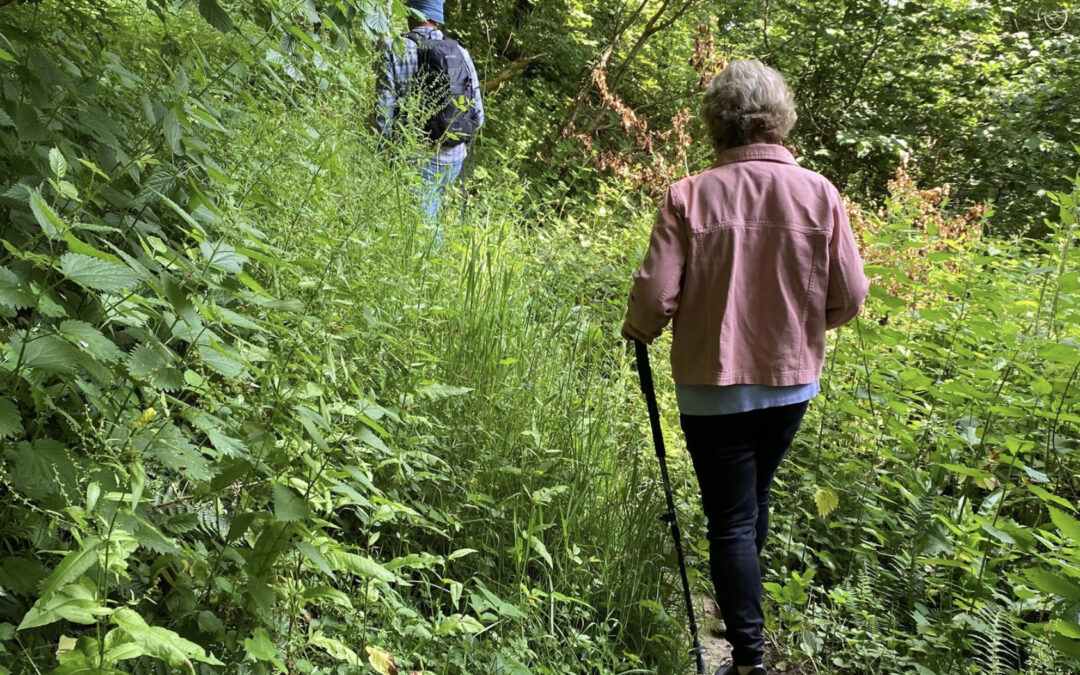 Explore the Environment While Healing Your Mind