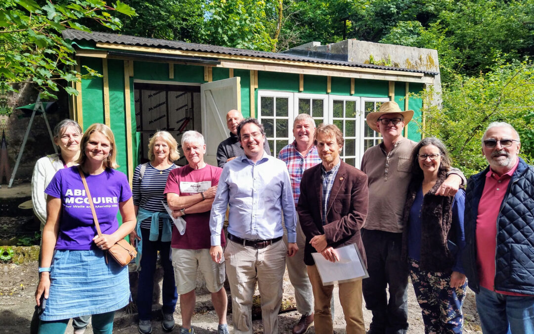 Discovering Windsor Hill Wood: A Haven of Tranquillity