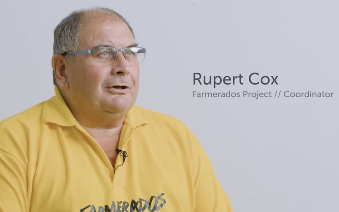 Meet the Team: Rupert Cox