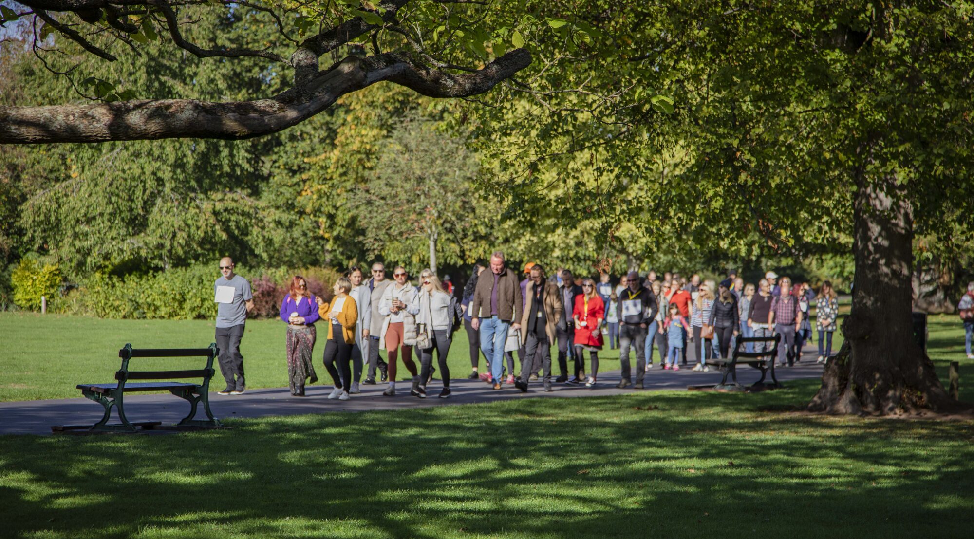 walk for a life- photo somerset council