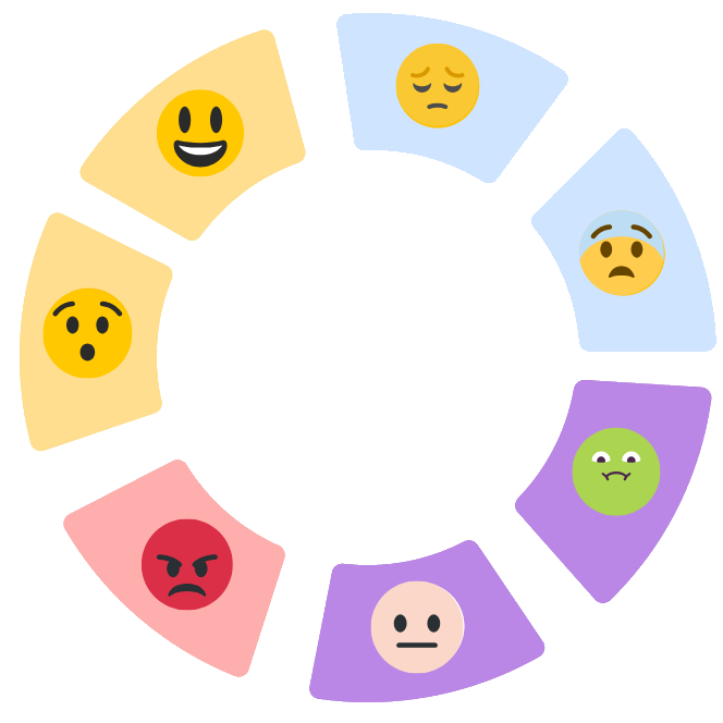 Emotional Wheel and Workbook