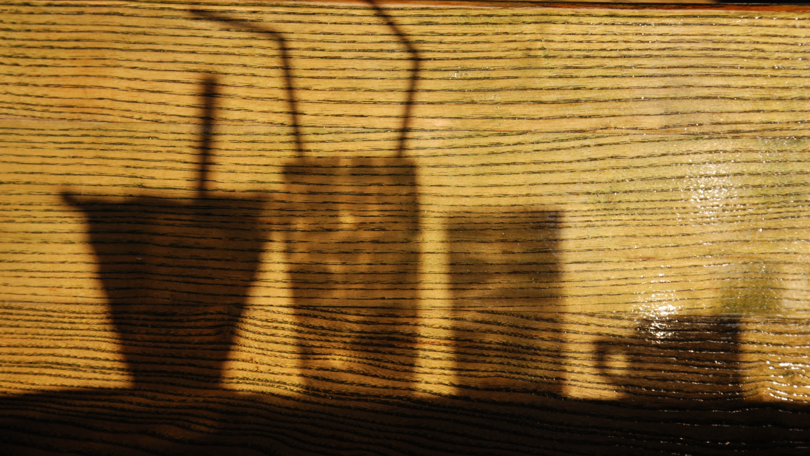 drink-shadows